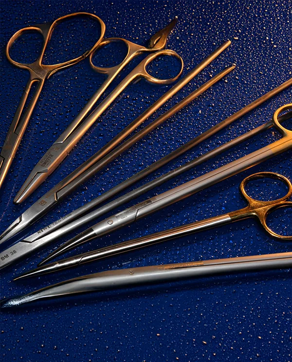 Close-up of stainless steel veterinary surgical instruments arranged on a textured blue surgical tray.
